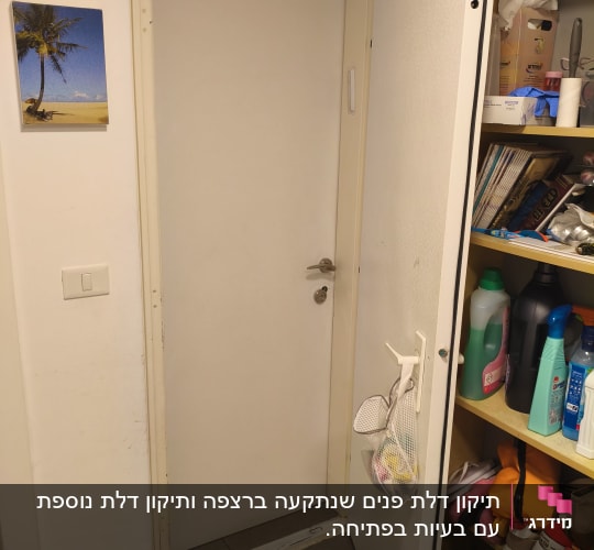 דלת לבנה עם ידית מתכת, מדף עם חומרי ניקוי ונעליים